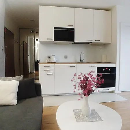 Apartment Nad Motlawa - Free Parking